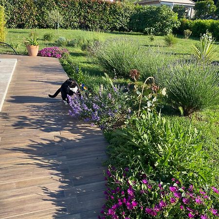 Bed and Breakfast La Rosela De La Cite Palaja Екстер'єр фото