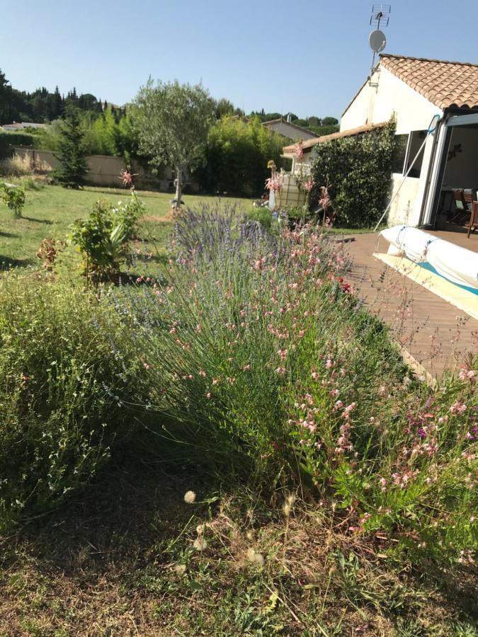 Bed and Breakfast La Rosela De La Cite Palaja Екстер'єр фото